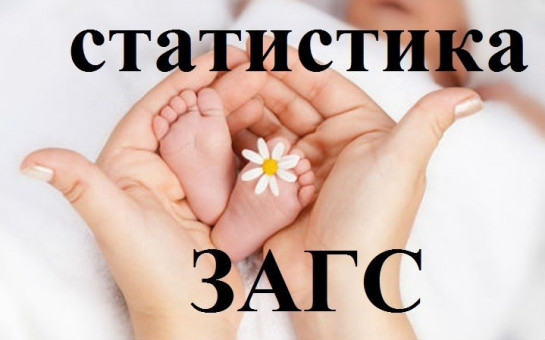 По данным районного отдела ЗАГС: в 2024 году в Екатериновском районе родилось 74 ребёнка